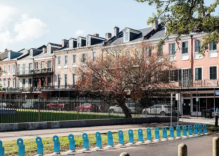 Pets Allowed Hotel Frenchmen