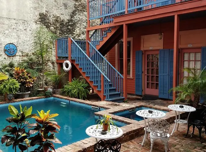 Pets Allowed Hotel Frenchmen